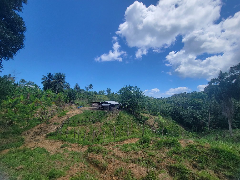 Finca Ganadera de 160 Tareas con Casa, Rancho y Animales Incluidos en Caño Dulce